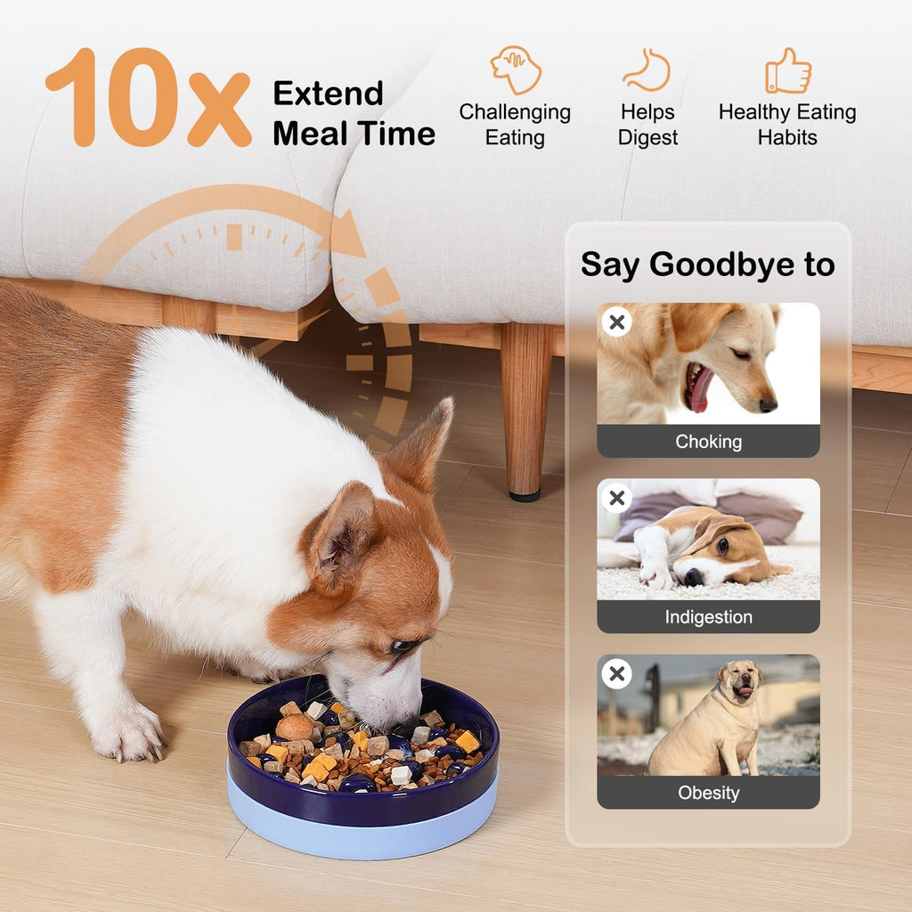 Sted Ceramic Slow Feeder Dog Bowls with Silicone Base