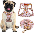 CHEDE No Pull Floral Pattern Dog Harness- Lightweight, Soft, Adjustable Small Harness and Leash Set, Suitable for Puppy Small and Medium-Sized Dog (S, Pink Daisy)