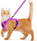 Cat Harness and Leash for Walking Escape Proof Soft Adjustable Cat Leash