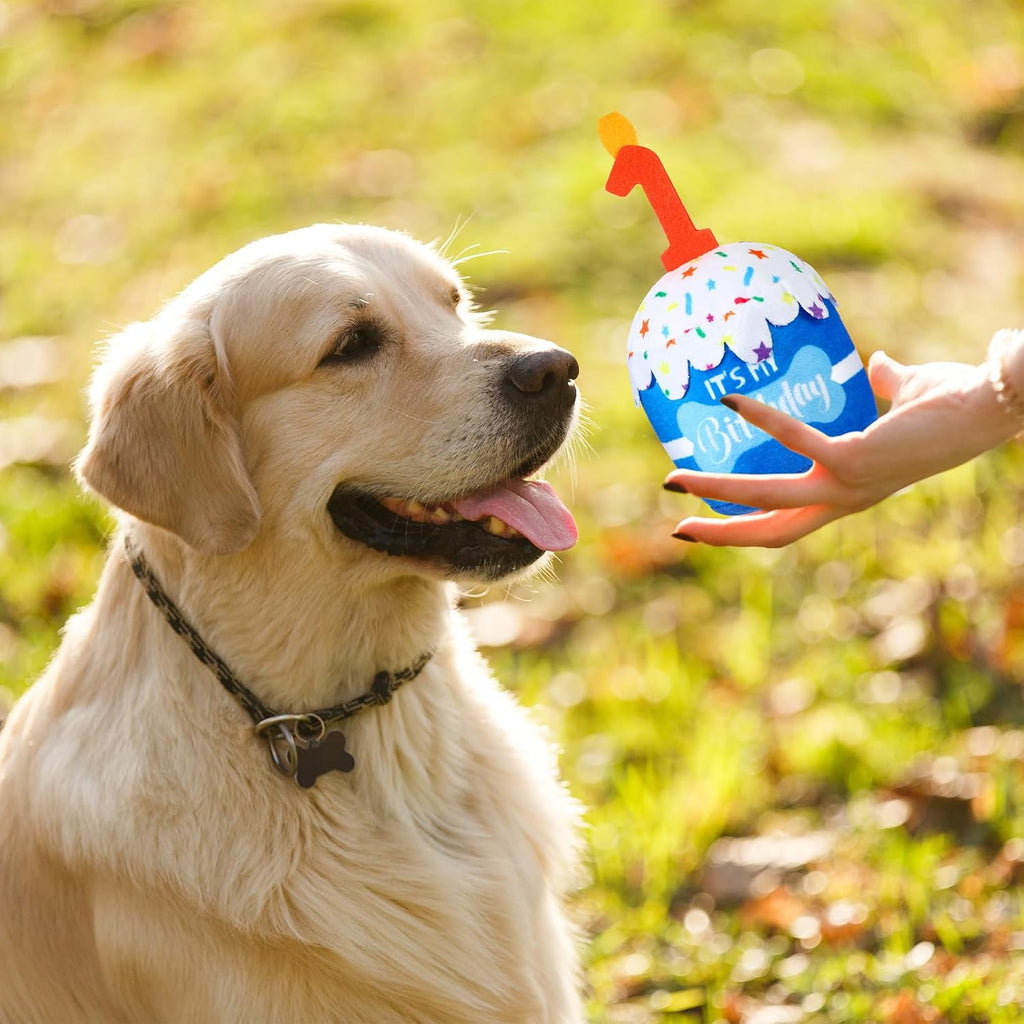 Dansydaisy Dog Birthday Cake Toy Squeaky Plush Gift,1st,Blue | Interactive Squeaky Gift for Dogs, Dog Birthday Decor , Soft Chew for Small Medium Large Pets, Cake Design with Candle