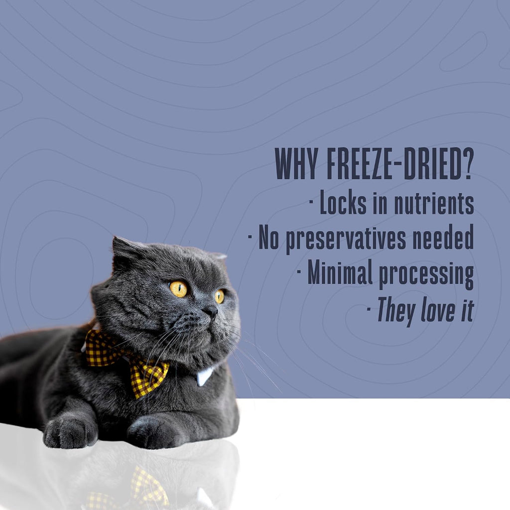 Whole Life Cat Just One Salmon Freeze Dried Cat Treats - 1 oz (Pack of 1)