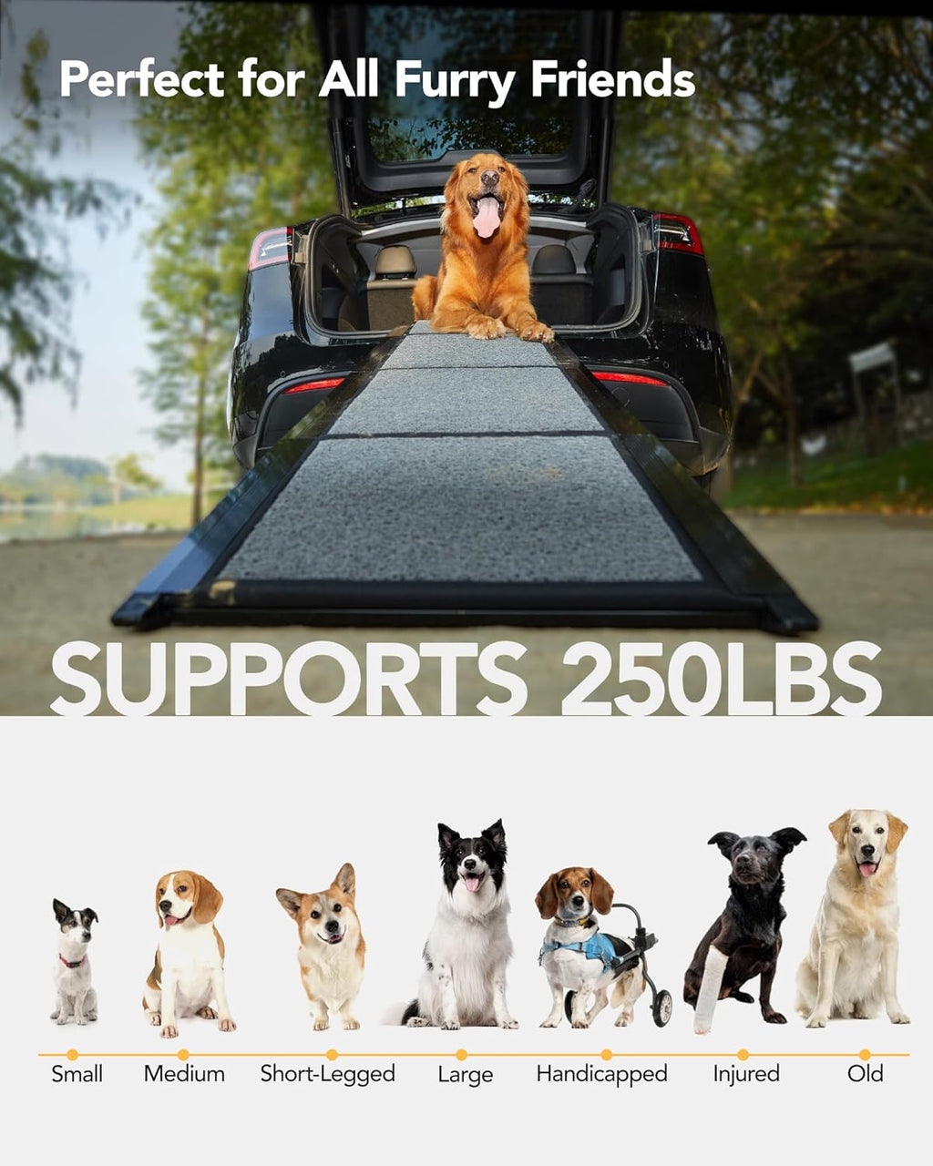 PetThem Dog Ramp for Cars, 63" L × 19.7" W, Lightweight Extra-Wide Foldable