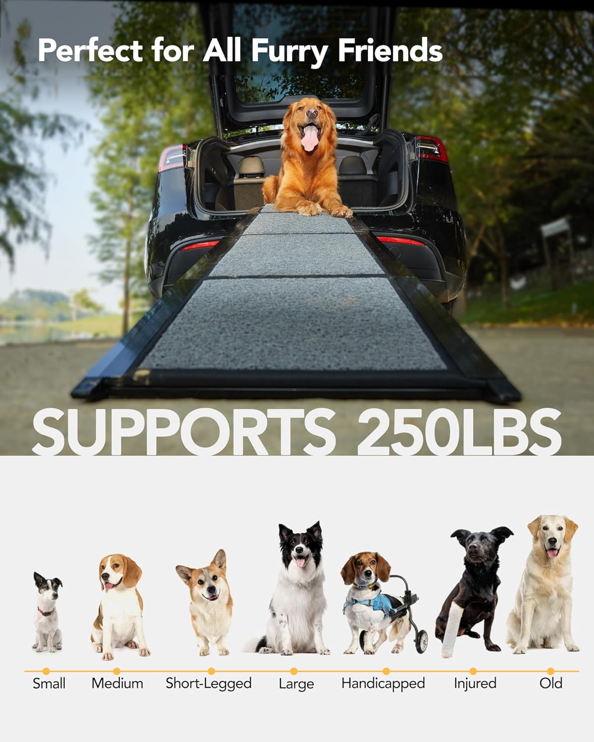 PetThem Dog Ramp for Cars, 63" L × 19.7" W, Lightweight Extra-Wide Foldable