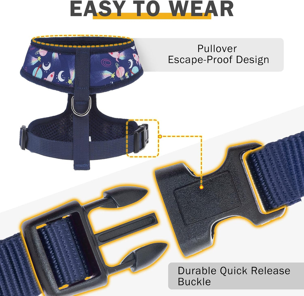 SCENEREAL Small Dog Harness and Leash Set, No Pull Puppy Harness