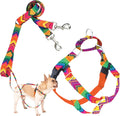 2 Hounds Design - Freedom No-Pull Harness & Training Leash in Multi-Color | Dual Leash Loops, No Pulling on Walks | Lined to Prevent Chaffing | for Small Sized Dogs (Size S, Chest 20”- 24”)