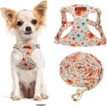 CHEDE No Pull Floral Pattern Dog Harness- Lightweight and Soft Harness, Adjustable Small Dog Harness and Leash Set, with Dog Leash, Suitable for Puppy Small and Medium-Sized Dog