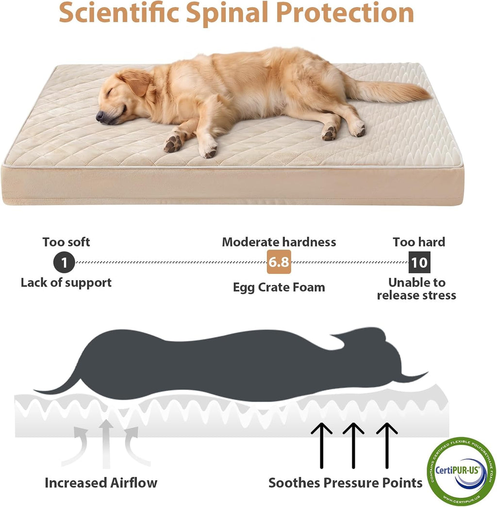 WNPETHOME Orthopedic Giant Human Dog Beds for Adult & Dog Cozy Sleep