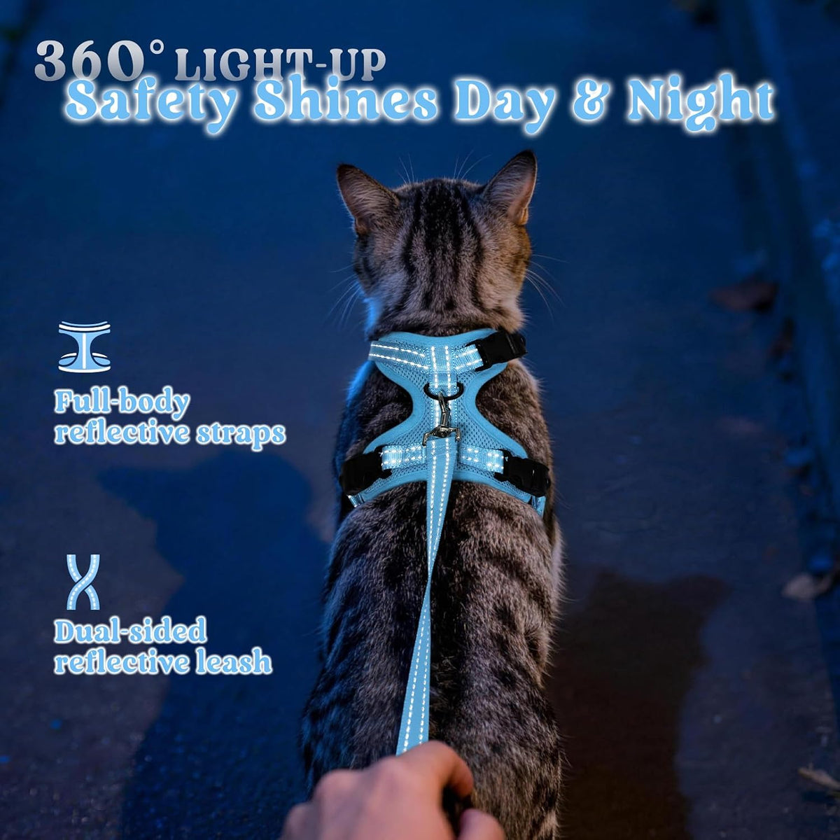 rabbitgoo Cat Harness and Leash, Easy-on with Neck Buckle, Sky Blue