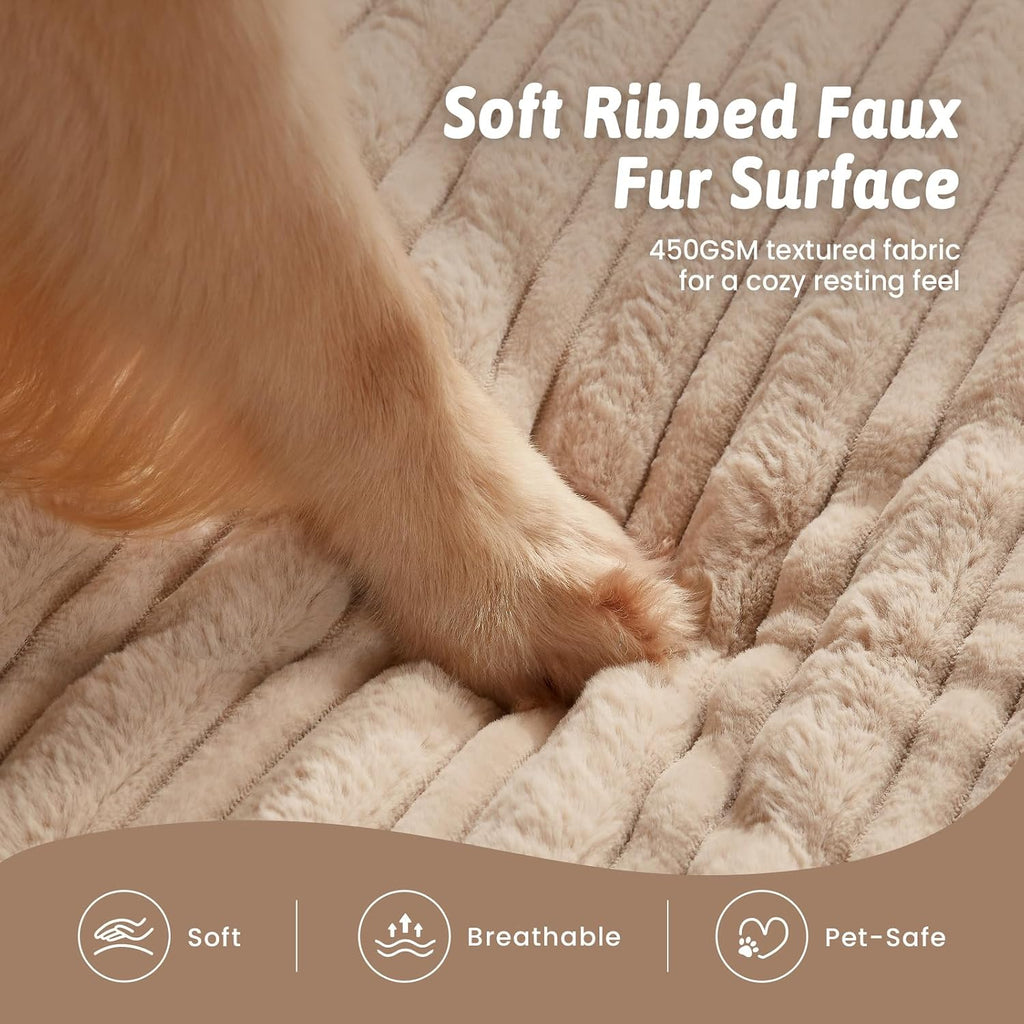 COZY KISS Orthopedic Washable Dog Bed for Small Dogs, Removable, Beige