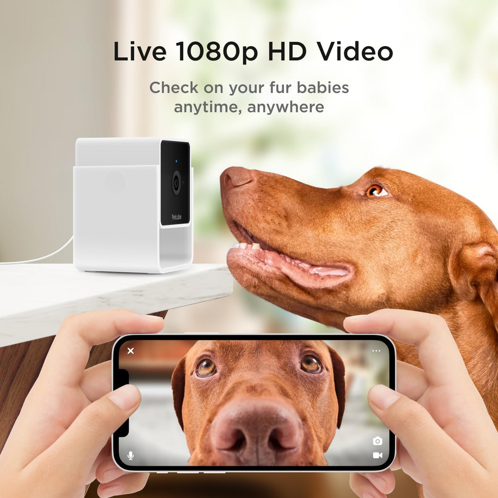 Petcube Cam (2-Pack) – Wi-Fi Pet & Security Camera with App