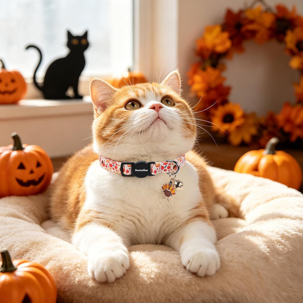 lionet paws 2 Pack Cat Collar Breakaway with Bells-Fall Teal Pumpkin Turkey