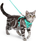 rabbitgoo Cat Harness and Leash, Easy-on with Neck Buckle, Green