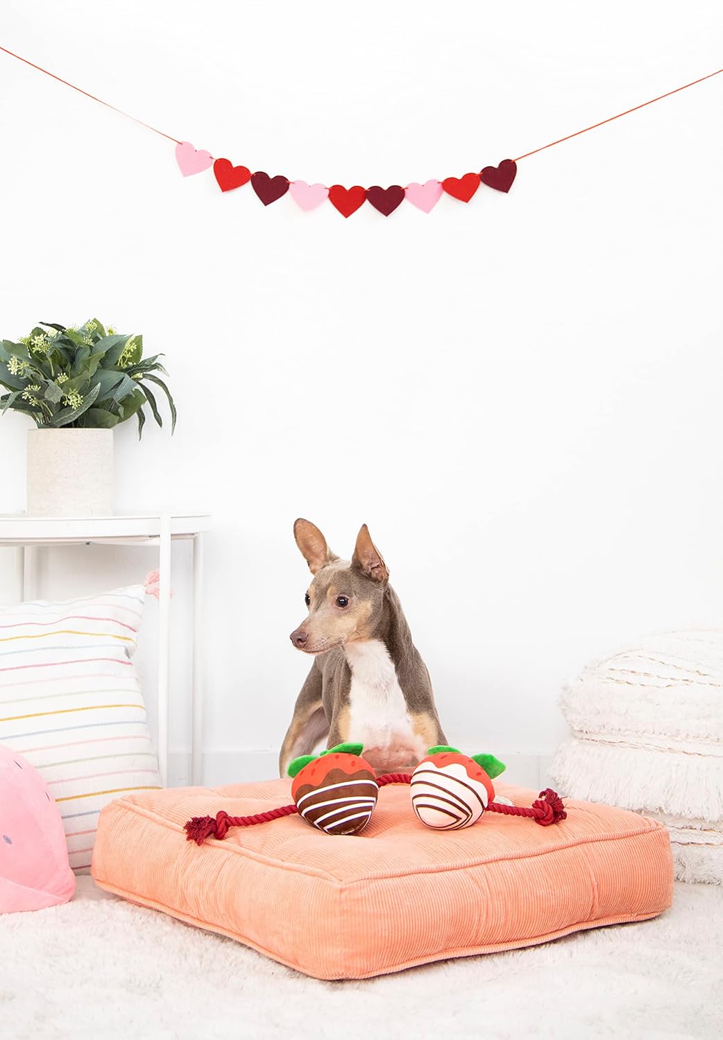 Pearhead “You’re Berry Cute” Valentine’s Day Dog Toy – Plush Strawberry Squeaker & Rope Tug Toy, Interactive Crinkle Chew Toy for Dogs, Festive Valentine Pet Gift