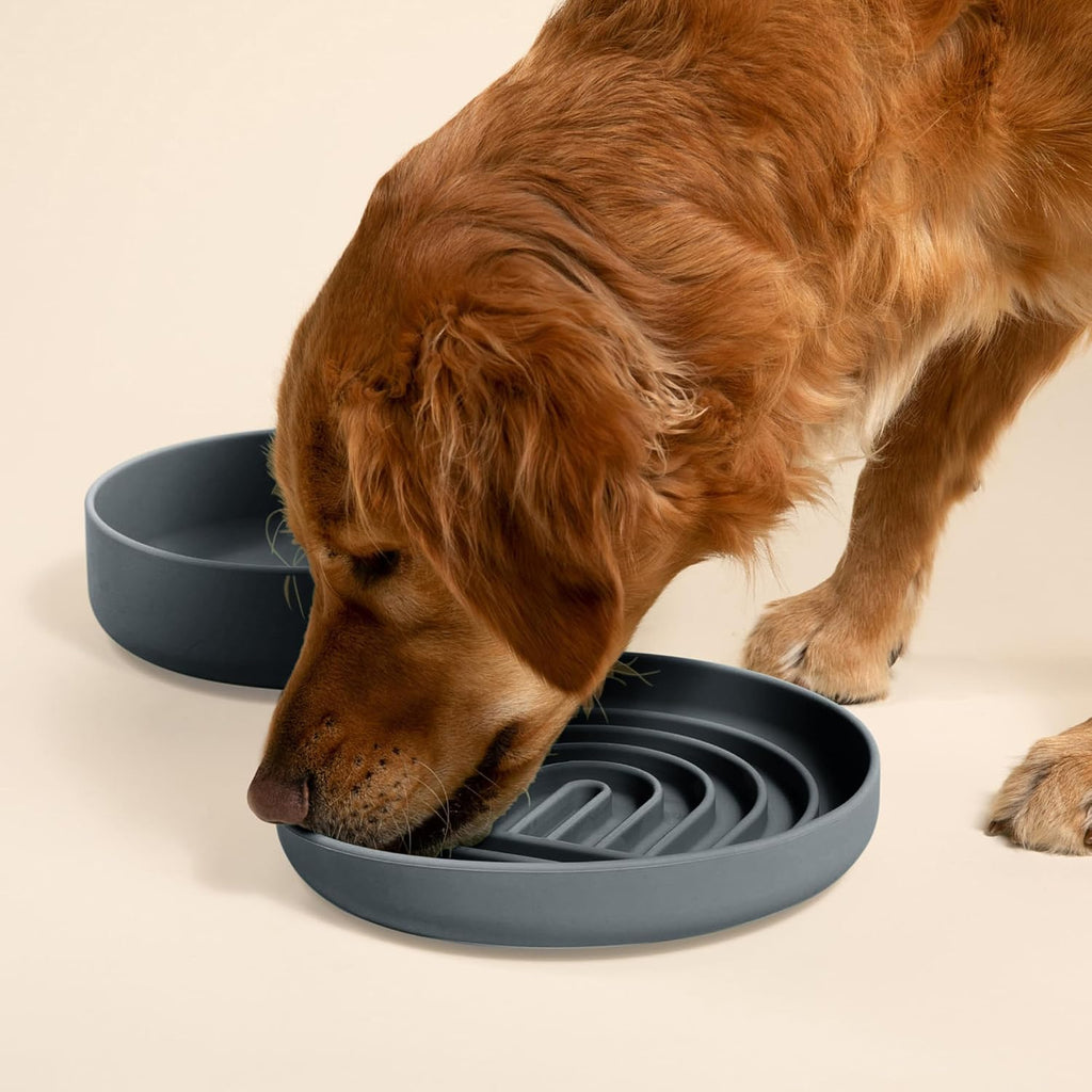 Slow Feeder Dog Bowl - Silicone Dog Bowl, Large, 9.5" x 1.5" - Charcoal