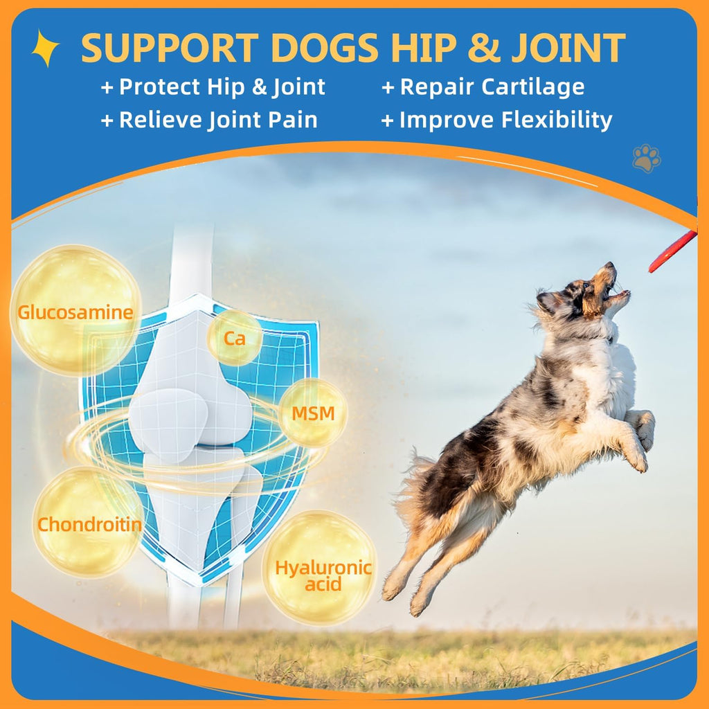 ZEBORA Dog Vitamins Powder - Multivitamin for Dogs & Cats - 90 Scoops