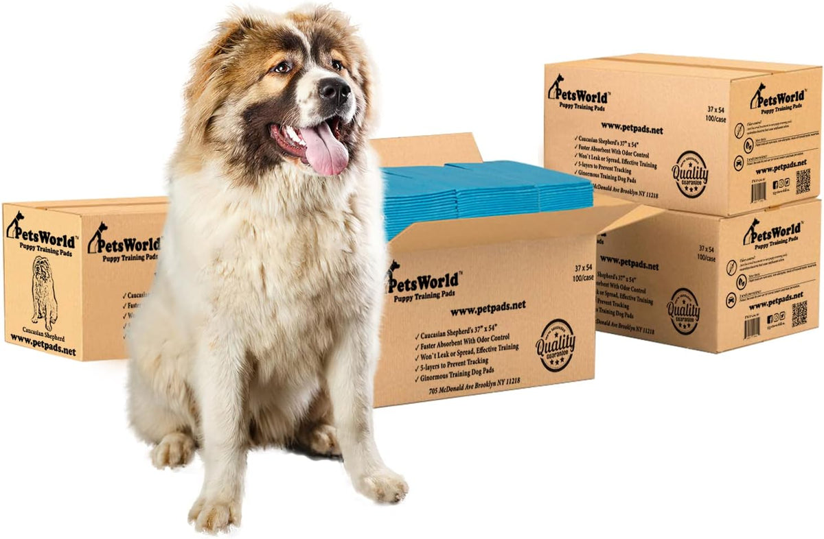 PetsWorld Enormous Dog Pee Pads 37"x54" 400 Count – XXXL Pet Pee Pads for Giant Dogs & Pets, Heavy Duty Leak-Proof Dog Training Pads, Super Absorbent Quick-Dry Potty Pads with Adhesive Tabs