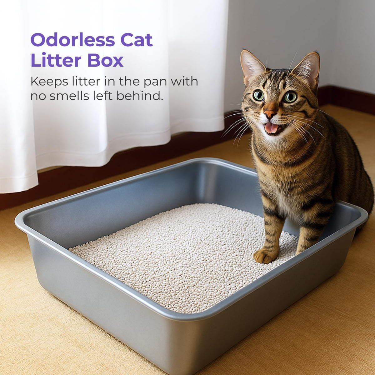 iPrimio Stainless Steel Cat Litter Box, Nonstick, XL 23.5" x 15.5" Open Pan | Extra large open steel pan built for big cats. The nonstick surface and rounded corners rinse clean in seconds, no scrubbing.