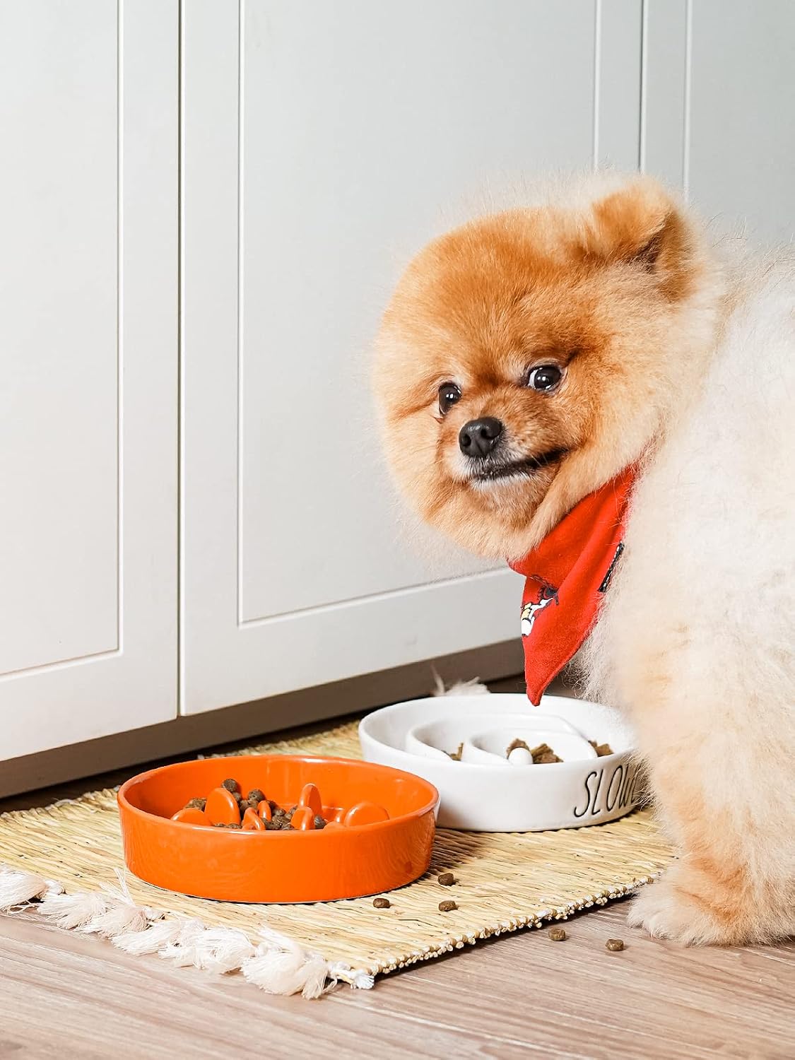 LE TAUCI Ceramic Slow Feeder Dog Bowls Small Breed, 0.6 Cups Dog Food Dish for Fast Eaters, Puzzle Bowl for Small Dogs and Cats,Sun Orange
