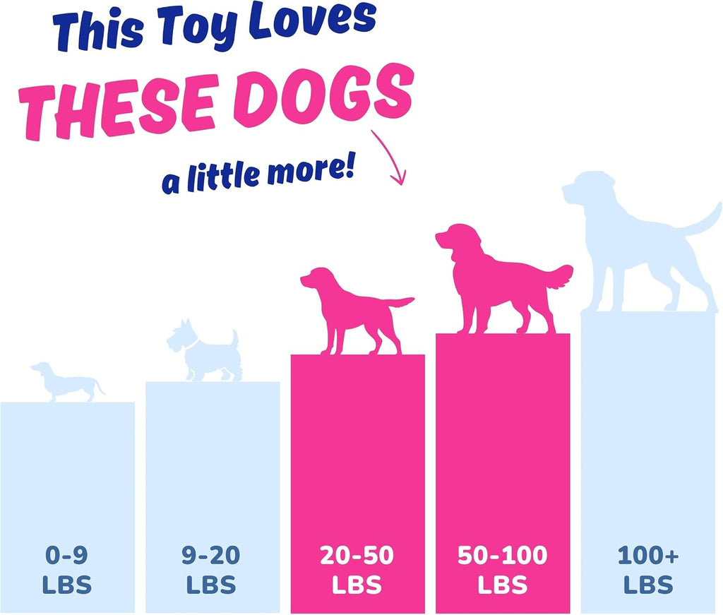 Dog Toy for Aggressive Chewers, Tough Squeaky Chew Ball, Large Breeds Gift | Super Strong, Durable Soft Plush Pig, No Stuffing Inside; Interactive for Puppies, Medium & Big Pets in a Birthday Gift Box