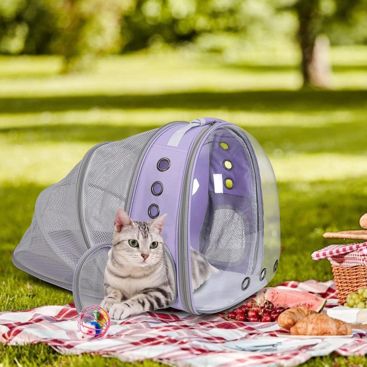 Expandable Cat Carrier Backpack with Bubble Window, Purple
