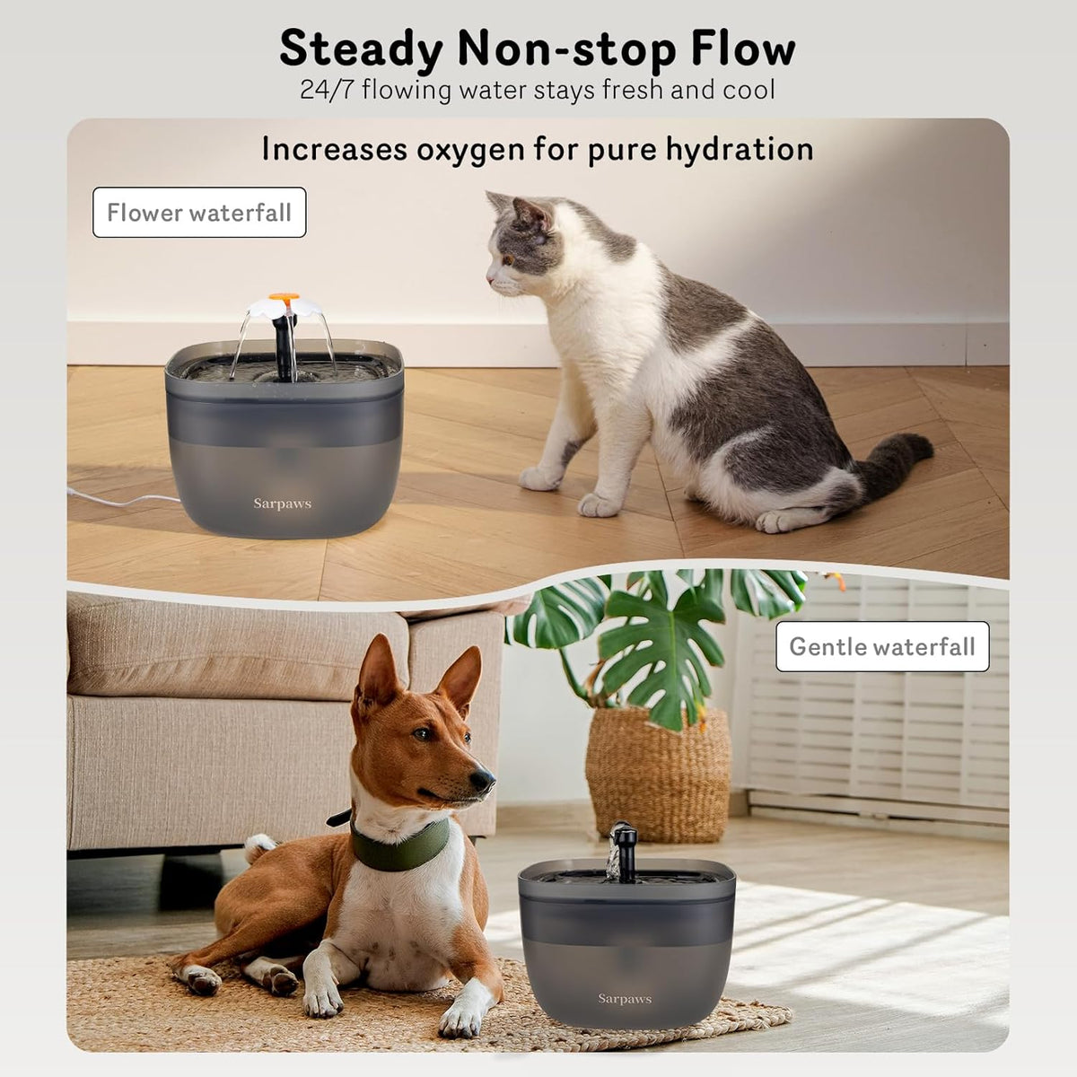 Automatic Cat Feeder and Water Dispenser FW1, Wire or Battery Cat Food Dispenser Timer Pet Feeder - Locking Lid, Desiccant Bag, Programmable Portion Control, 4 Daily Meals, 10s Voice Recorder