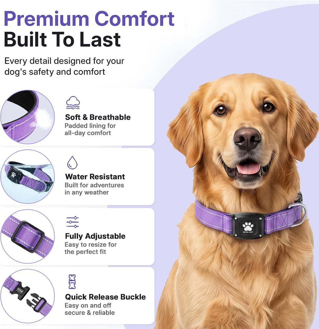 GPS Dog Collar with Tracker, Waterproof, No Monthly Fee, Purple, M