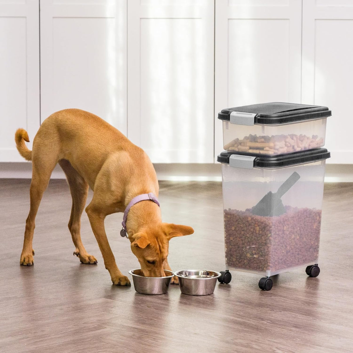 IRIS USA 30 lb + 11 lb Airtight Pet Food Storage Containers with Wheels