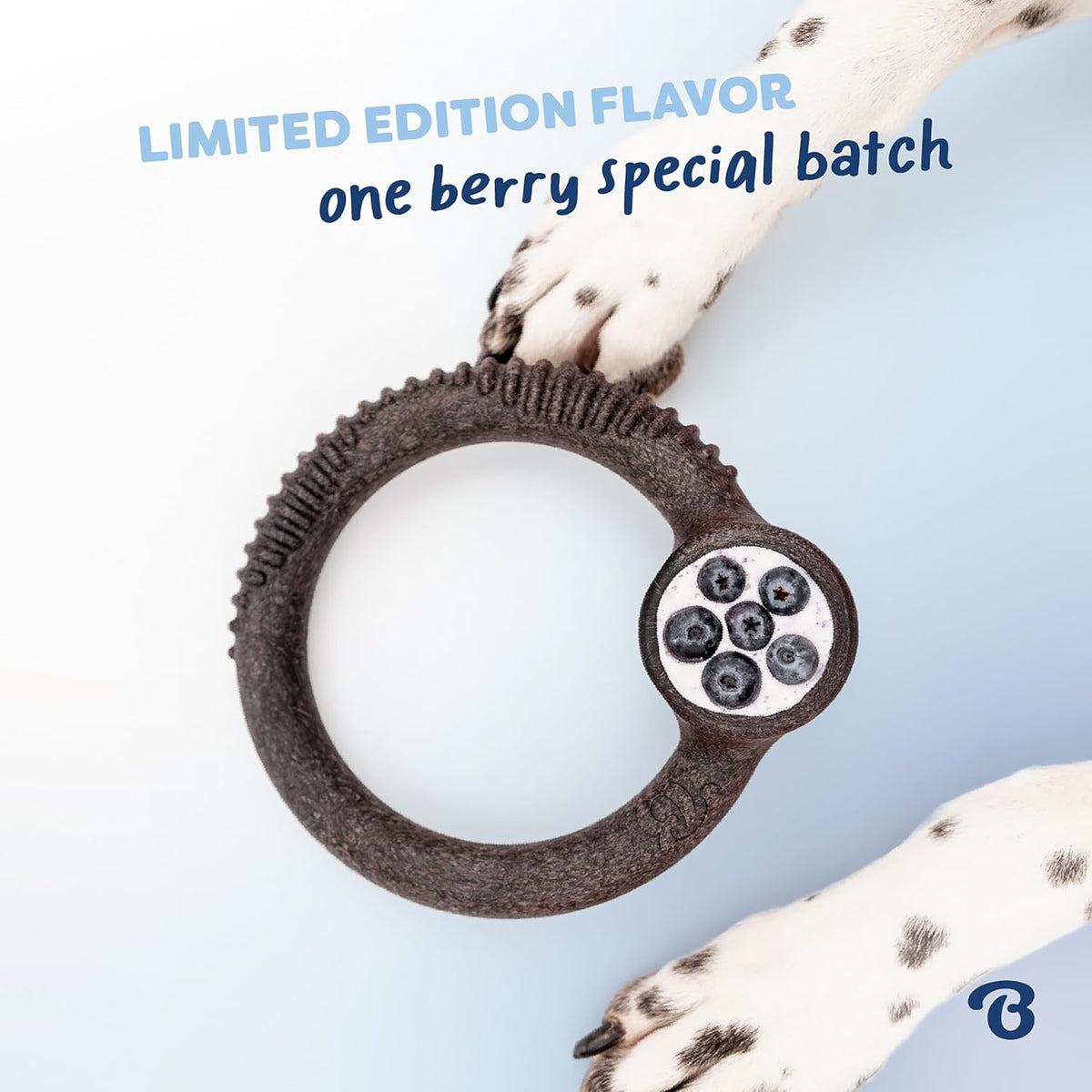 Benebone Ring Dog Chew Toy for Aggressive Chewers, Blueberry, Medium | Durable, Super Chewer, Dog Bones, Long-Lasting, A Size for Every Dog, Keeps Them Busy