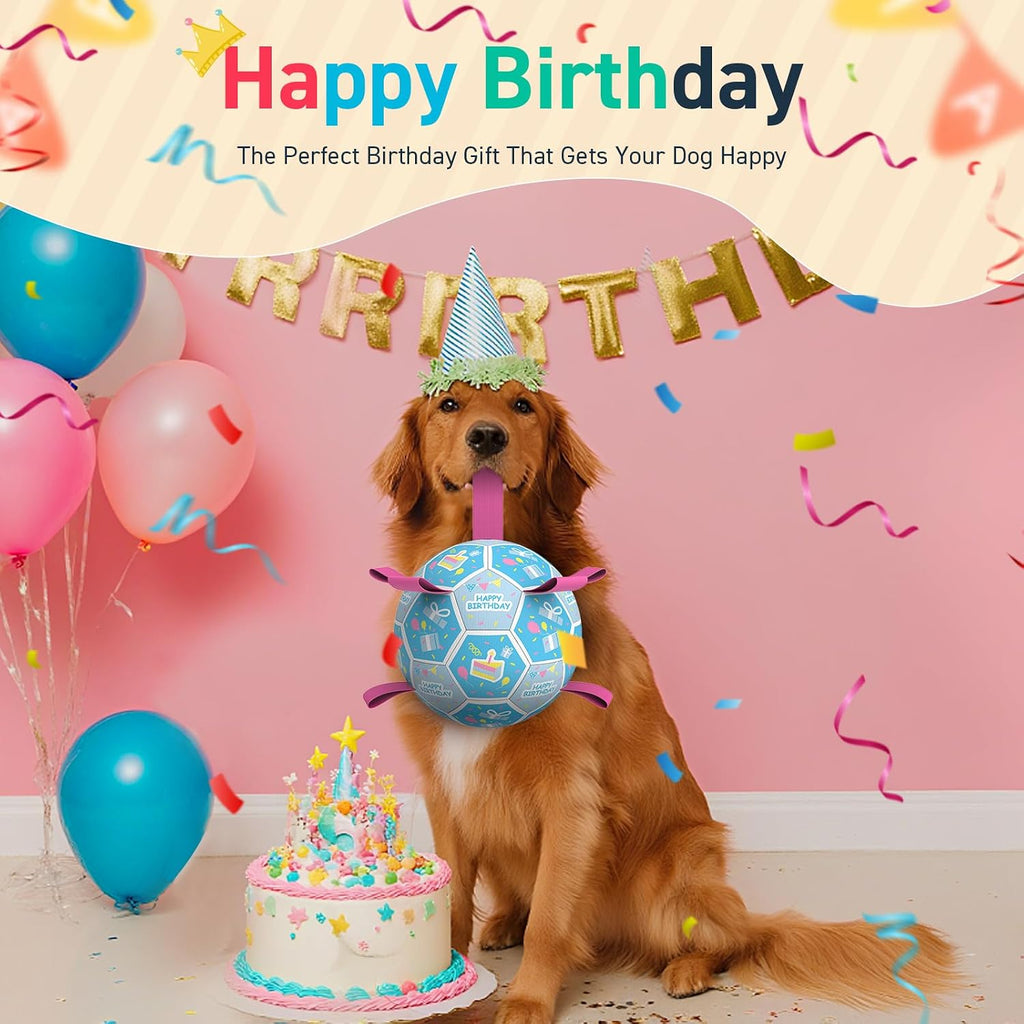 QDAN Dog Birthday Toys, Puppy Birthday Gifts, Dog Soccer Ball with Straps | 8 Inch Outdoor Herding Balls for 30-90 lbs Dogs, Interactive Training Soccer Toy for Tug of War, Dog Ball to Keep Them Busy