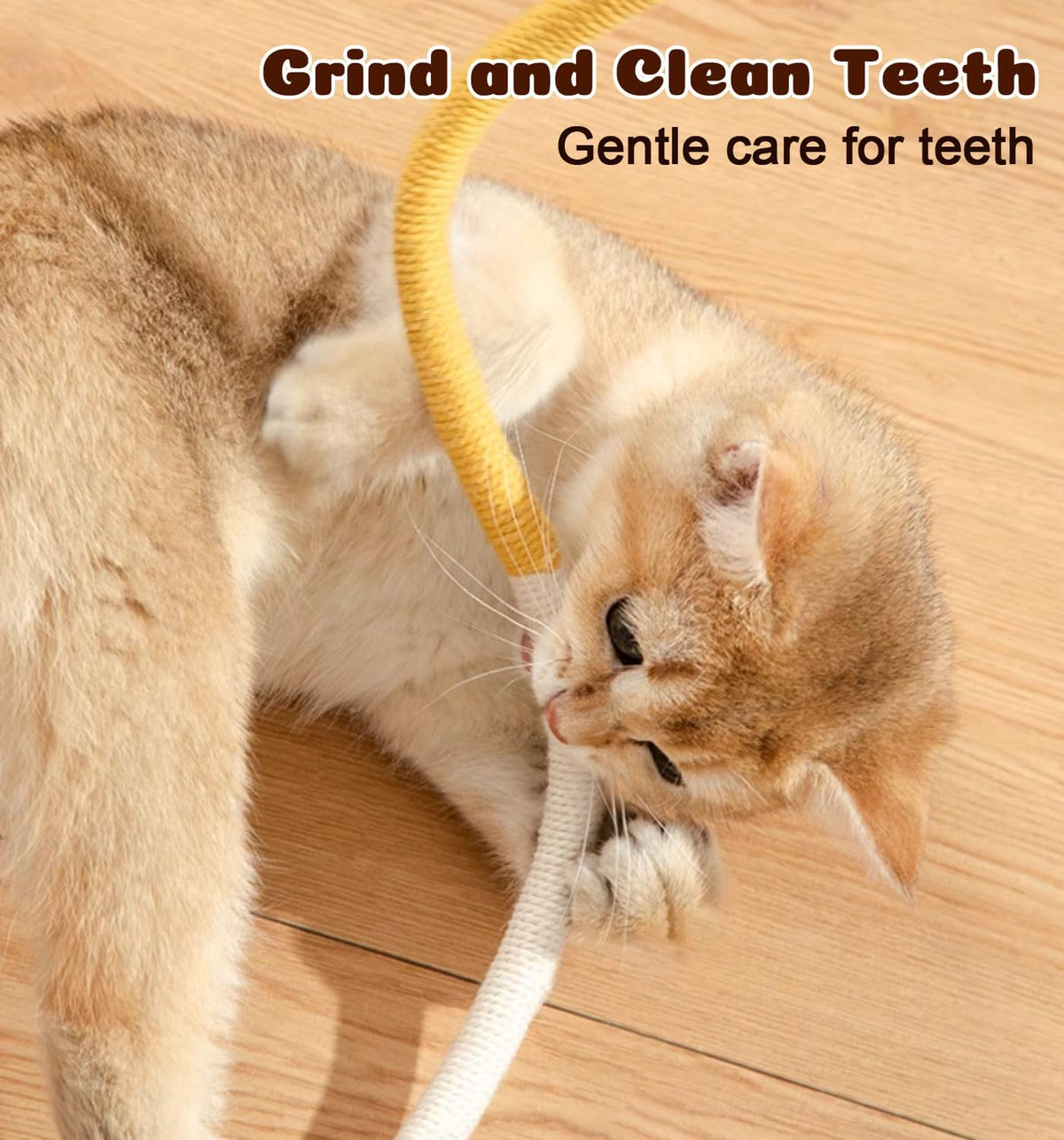 Cat Chew Ropes 4Pcs, Safe Cat Chew Toys for Indoor Cats with Catnip | with Gall Fruit,Safe Teeth Cleaning Chew Toys,Interactive Kitten Nip toys for All Breeds,19.5 inches,Boredom Buster