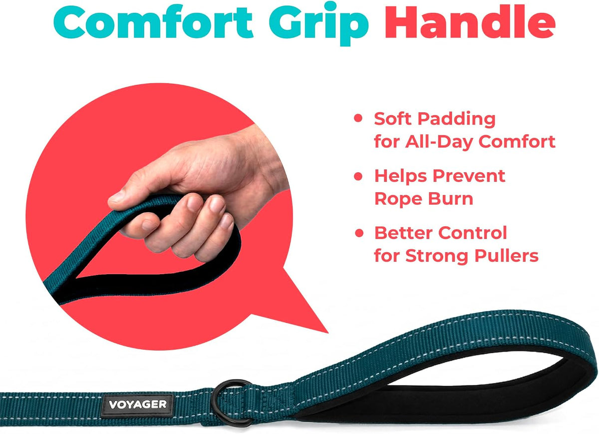 Best Pet Supplies Voyager Nylon Dog Leash - Blue, Small
