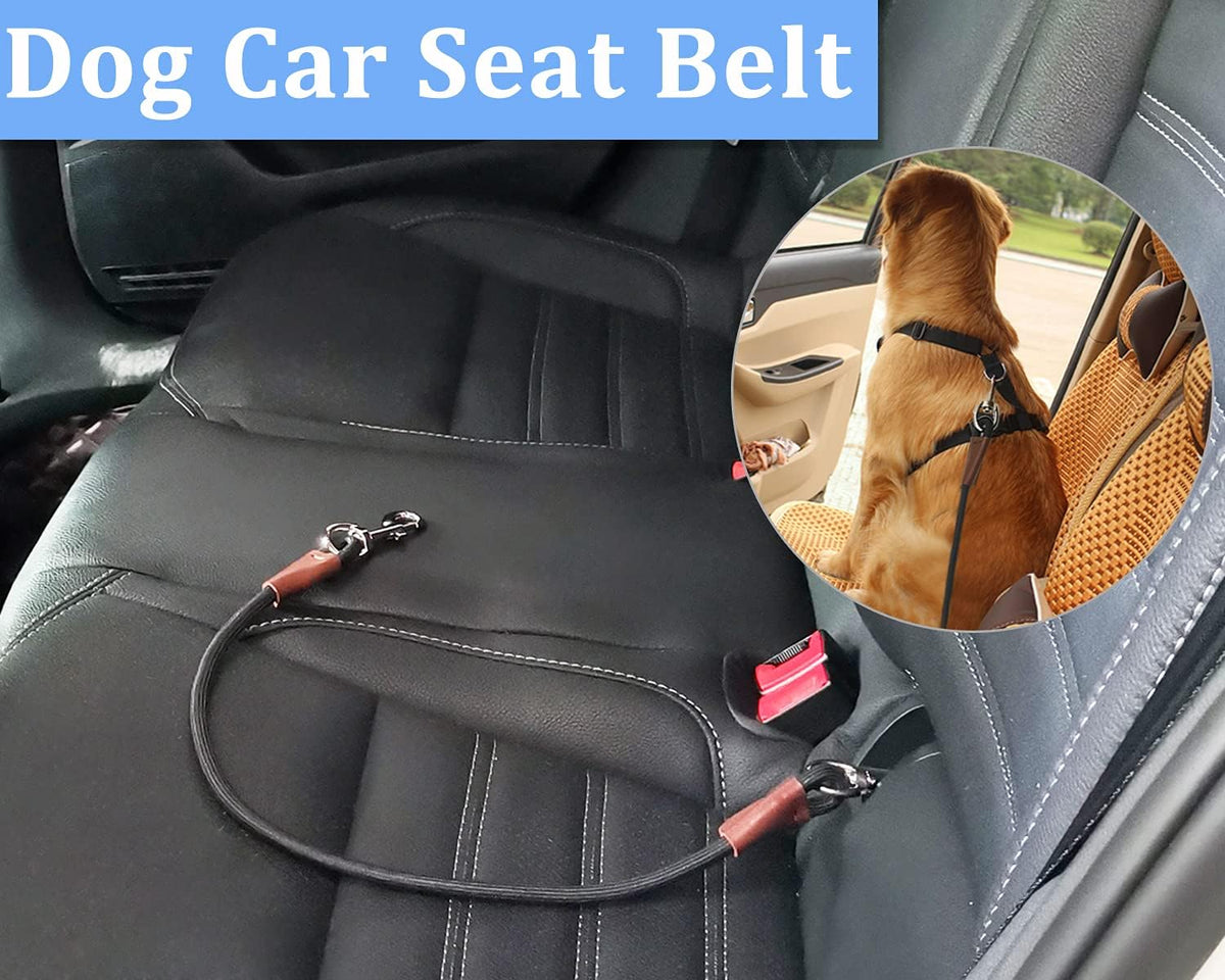 MayPaw Training Tie Down, 40In Short Dog Tether Indoor-Car Leash Seat Belt