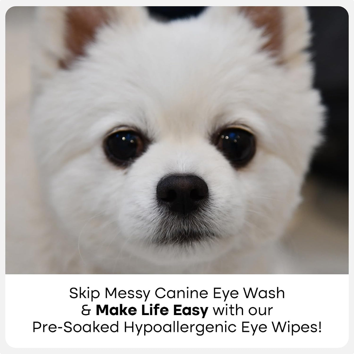 Uproot Clean Cat & Dog Eye Wipes: Hypoallergenic Eye Wipes for Dogs, 100ct.