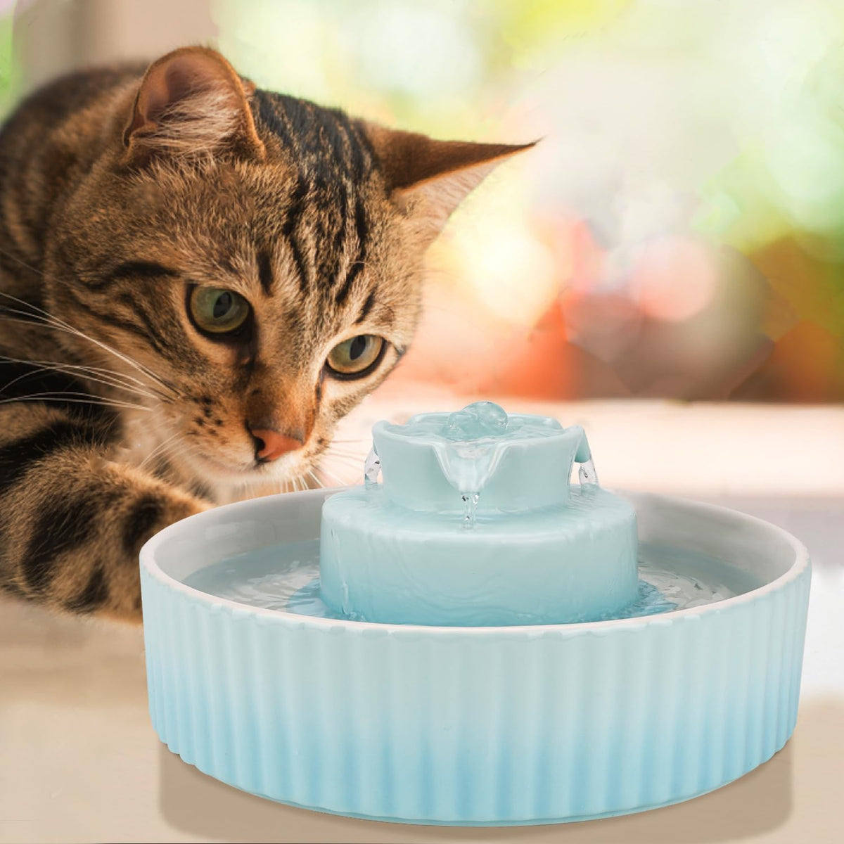 Wonder Creature Ceramic Cat Water Fountain, Stable Cupcake Design, 71oz