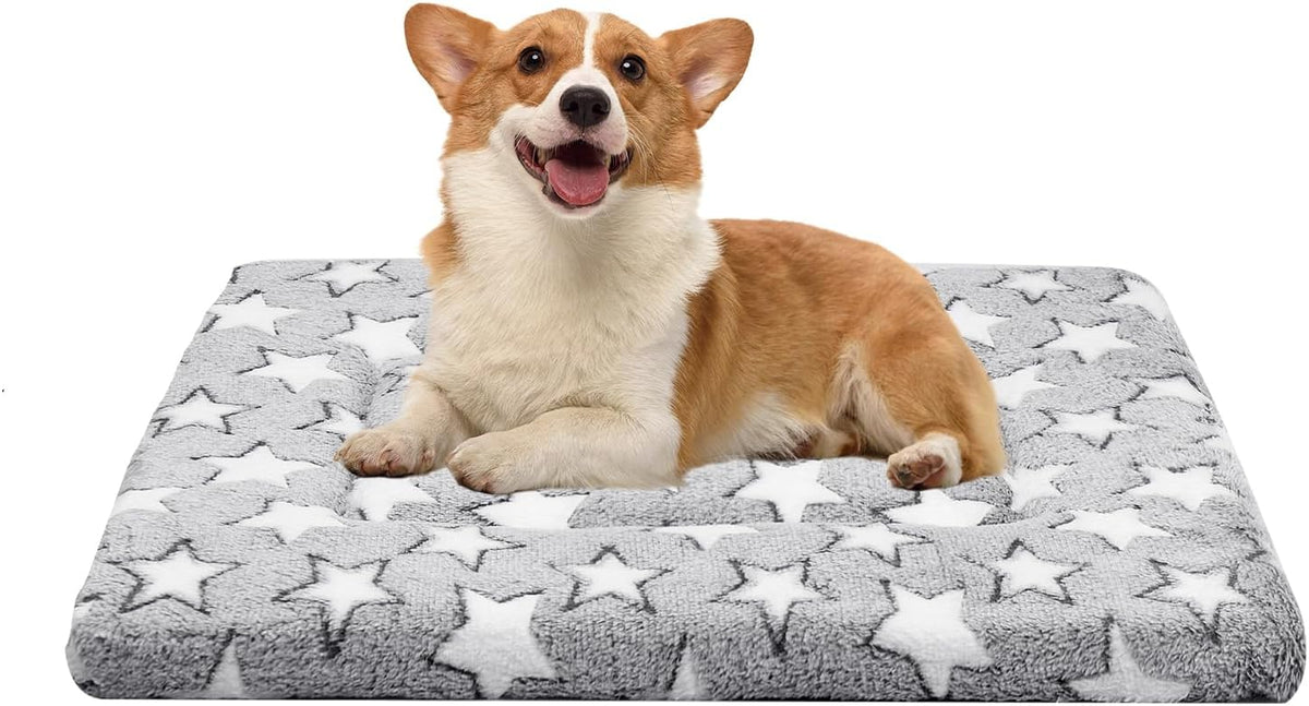 Dog Crate Mats, Dog Bed Mat, Cat Mat - Short Plush Pet Mat Crate Pad for Small Dogs, 1.6-inch Thick Thin Dog Mat, Machine Washable (Grey Star, 30.0" L x 20.0" W x 1.6" Th)