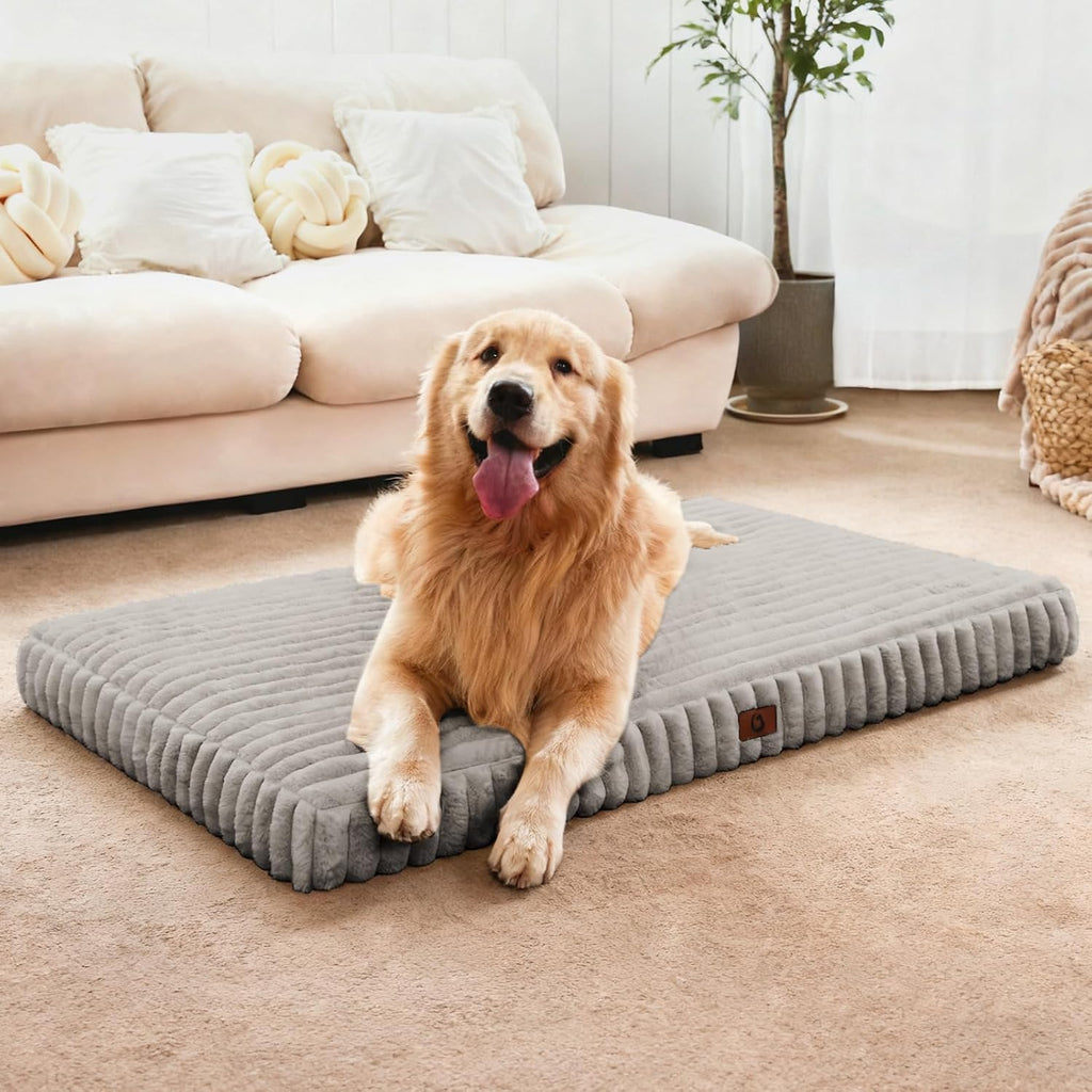 Extra Large Dog Bed Orthopedic Foam with Waterproof Lining