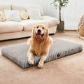 Medium Dog Bed Orthopedic Foam with Waterproof Lining