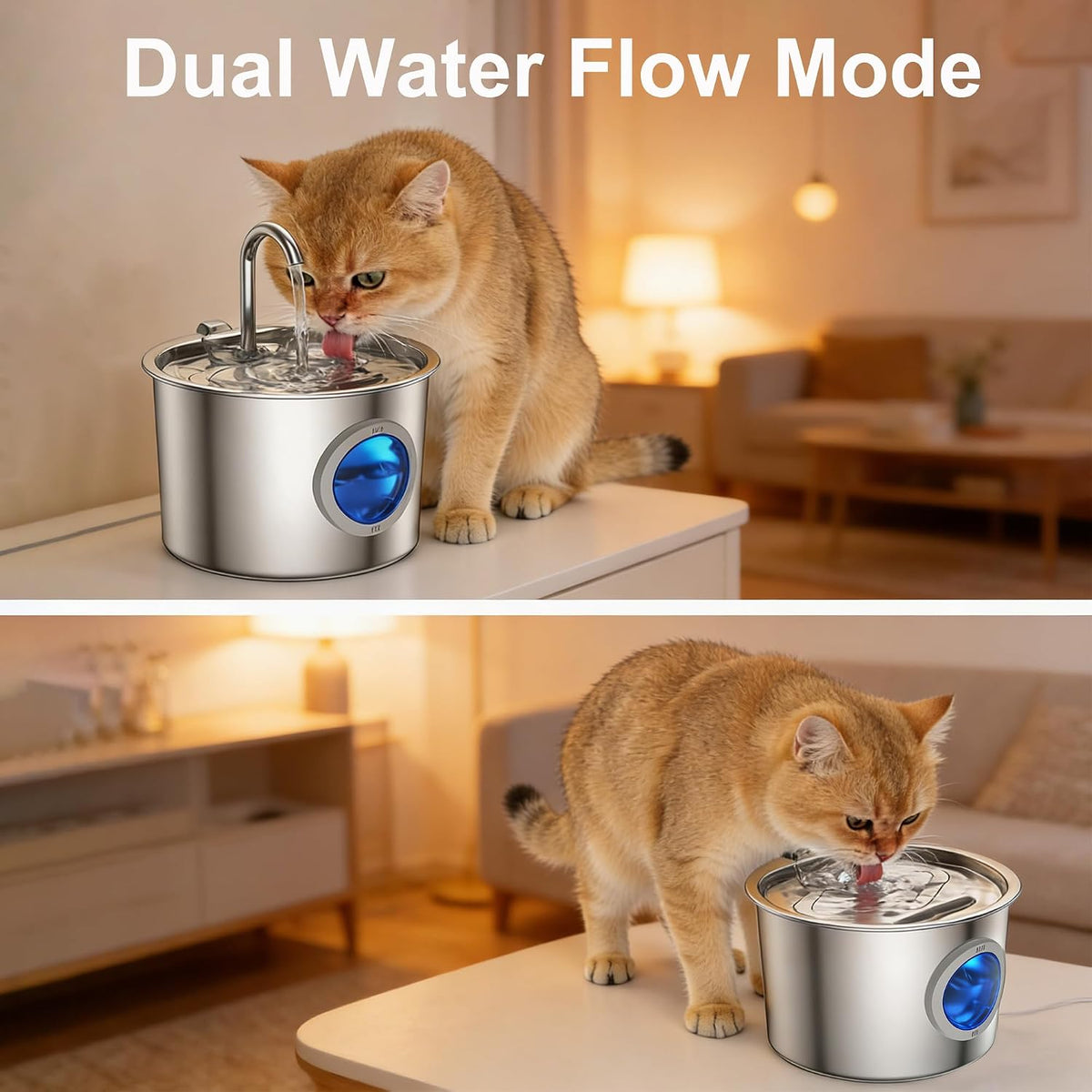 Cat Water Fountain Advanced 304 Stainless Steel 2.2L/74oz with Detachable Tank, Easy to Clean, Automatic Pet Fountain Quiet Cats Water Dispenser (Fountain+ 6 Filters +12 Sponges)