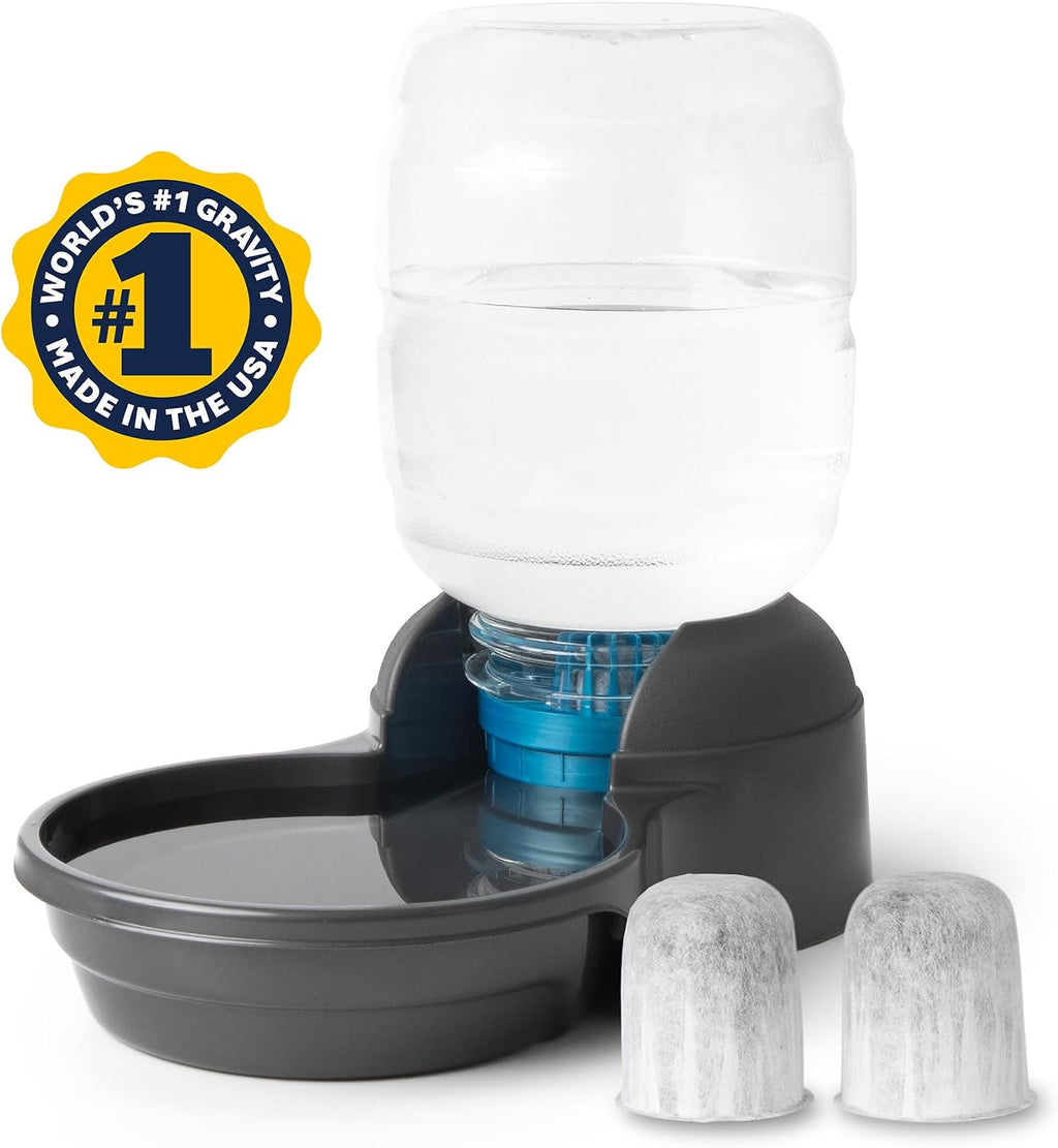 Petmate Replendish Automatic Dog Water Dispenser, 2.5 Gal, 2 Filters