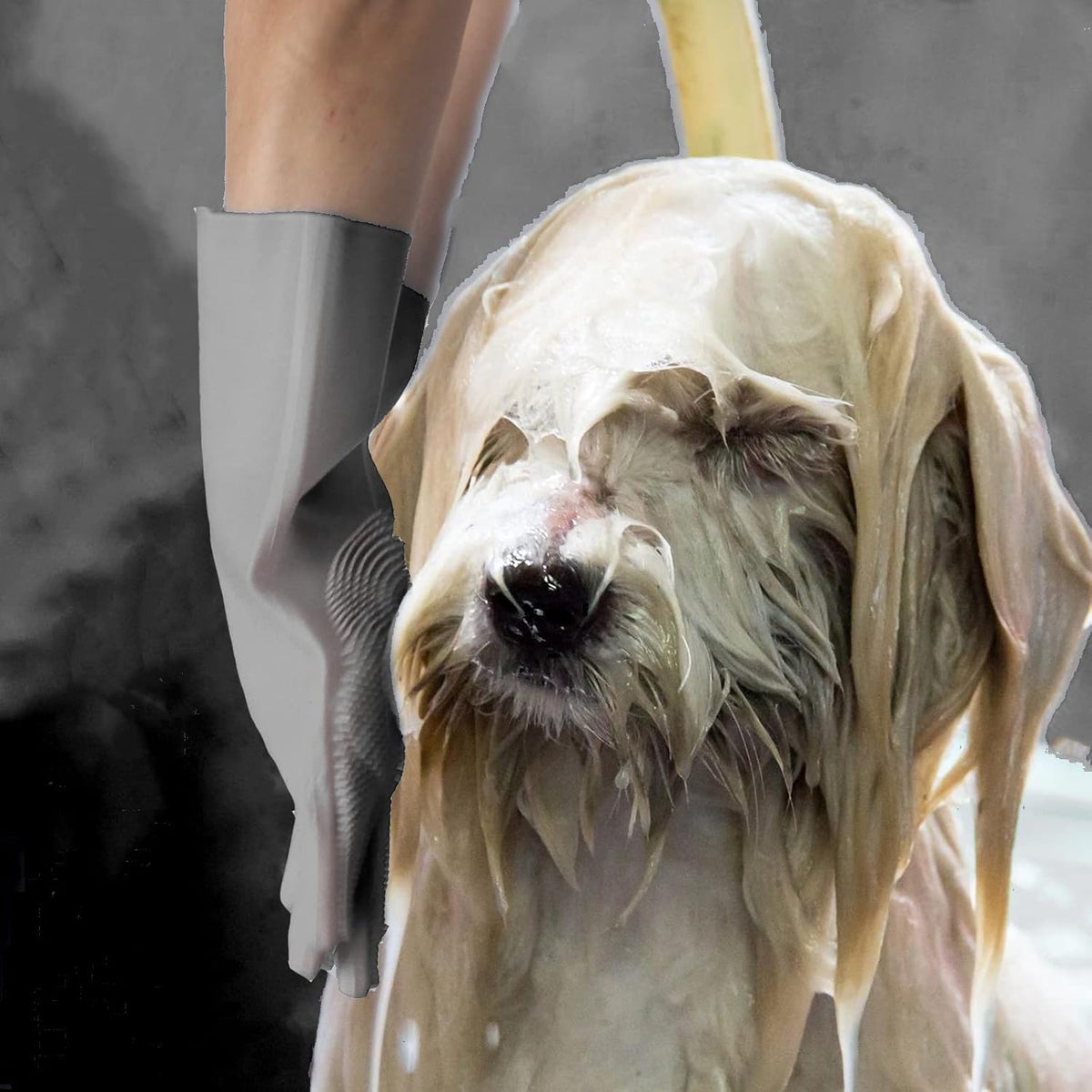 Silicone Pet Grooming Gloves Dog Washing Gloves for Bathing Massaging | 3,000 Soft Bristles, Non-slip & Extended Sleeves, Heat Resistant & Dishwasher Safe, For Cats and Dogs, Home/Car Cleaning