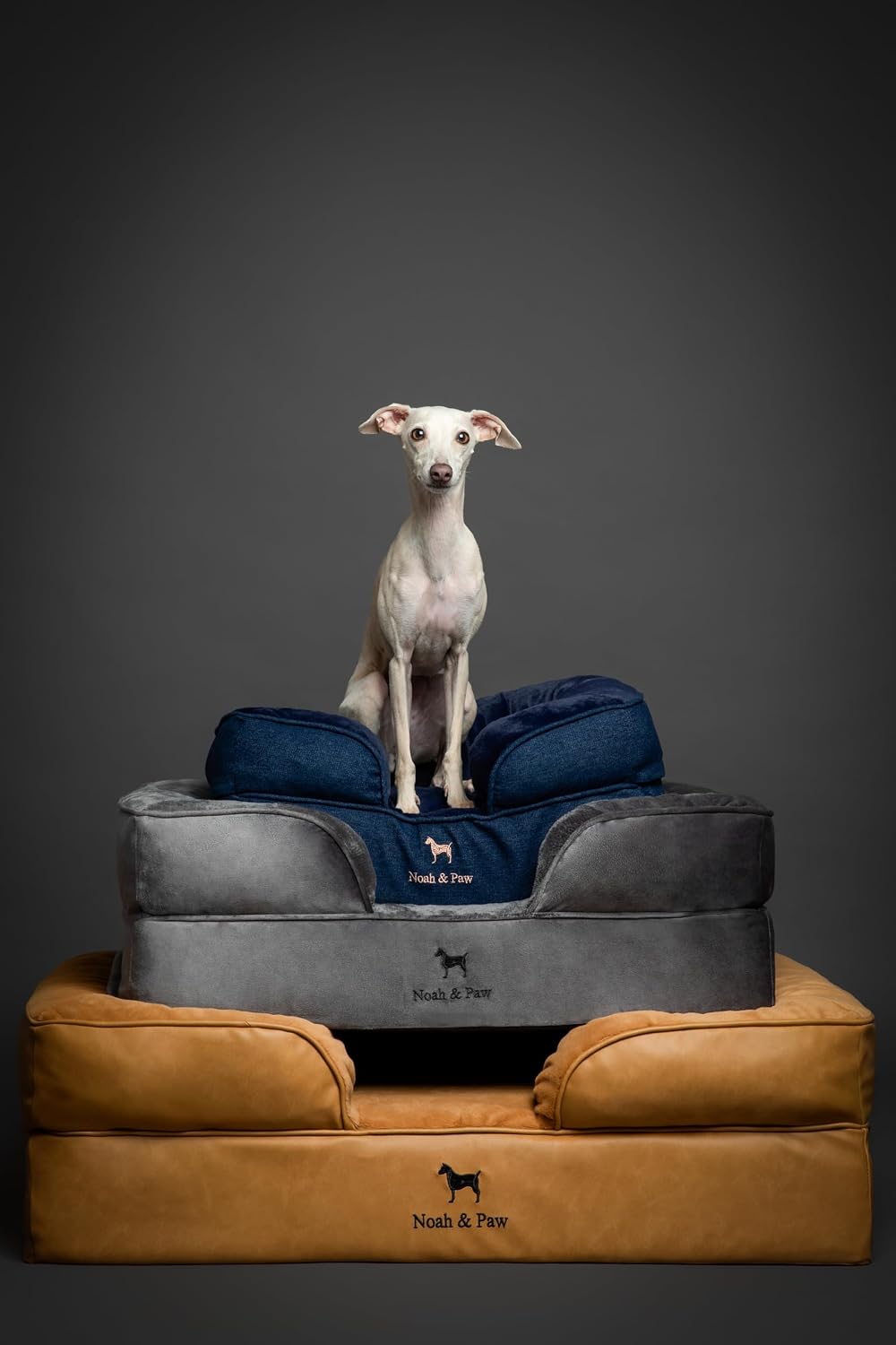 NOAH & PAW Cat Bed, XS Dog Bed, Orthopedic Memory Foam (2X Base) 20x15x8 in