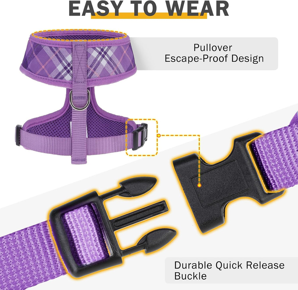 SCENEREAL No Pull Dog Harness and Leash Set Small Medium Sized Dog