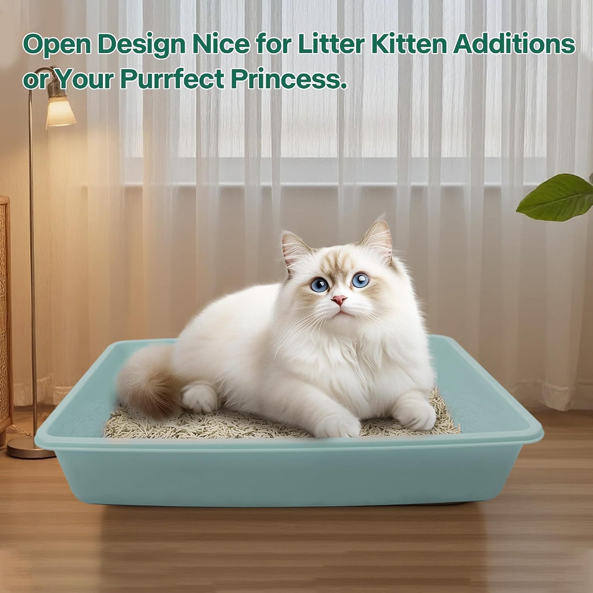 PAWISE Small Cat Litter Box,14.3 x 10.6 x 2.5 Kitten Litter Box Starter Kit,Low Entry,Scoop,Bowls,Cat Mouse Toy and Ball Toy,First Catty Owner Essentials(Green)