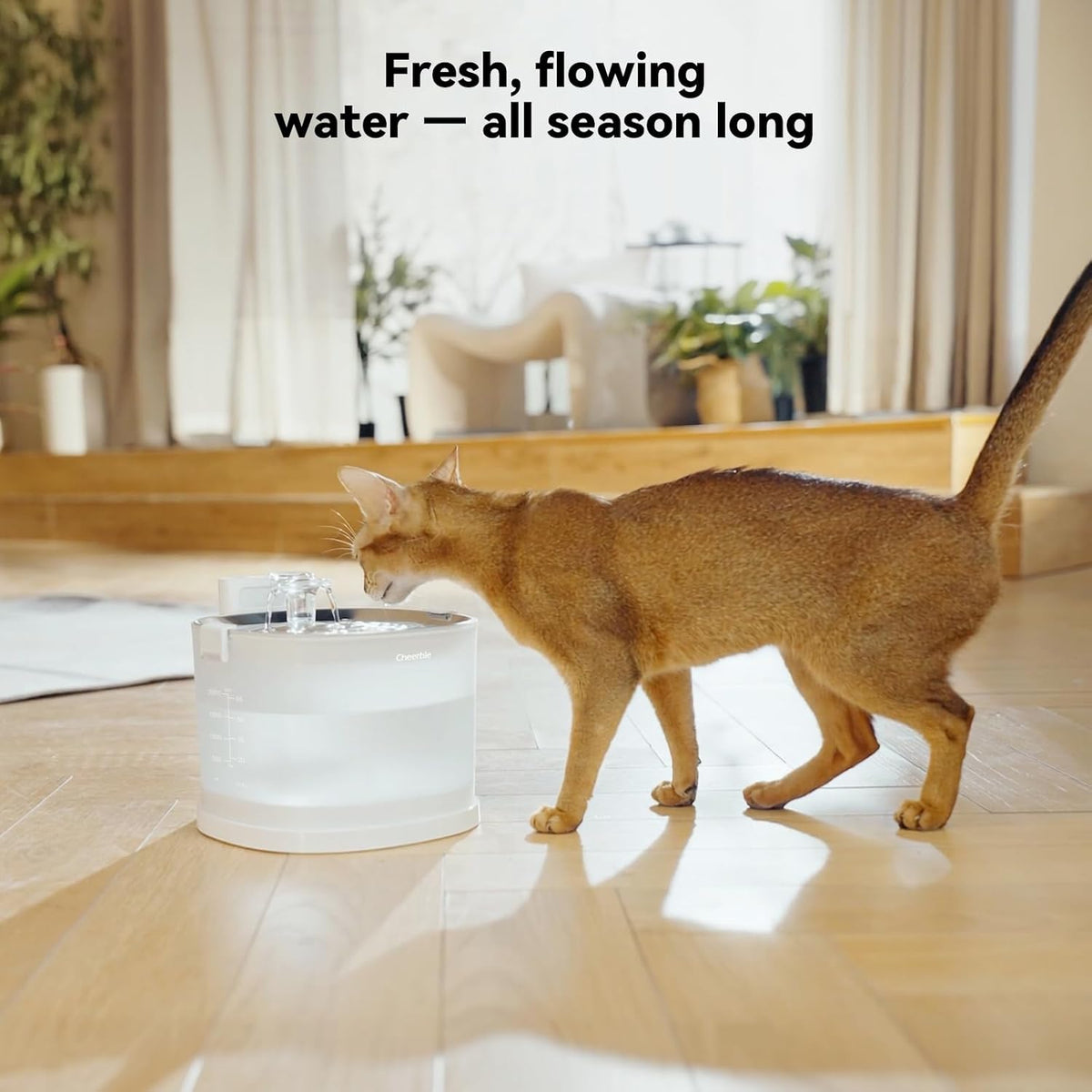 Cheerble Pumpless Cat Water Fountain Maintenance Kit for E1/E1+/D1/D1 Pro
