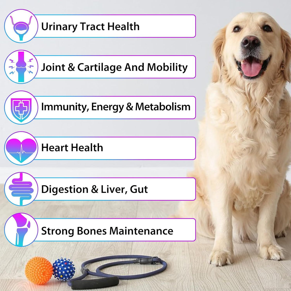 Dog Multivitamin Liquid Drops - 15 in 1 with Glucosamine, MSM & Cranberry, Supports Joint, Skin & Coat, Immune, Heart & Urinary Health, 2 fl oz