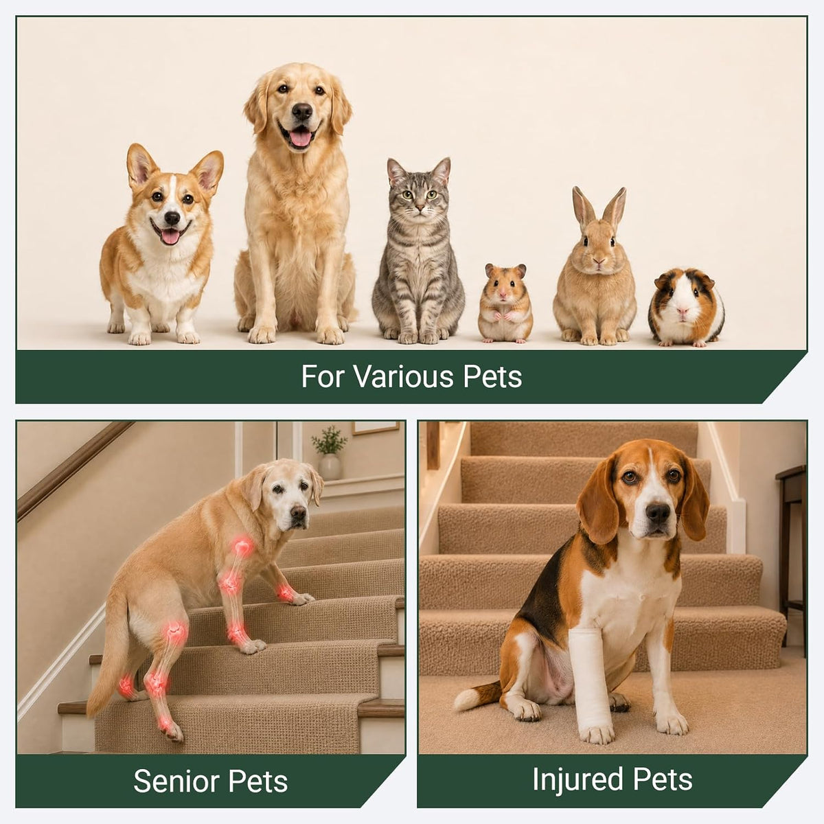 Adjustable Dog Ramp for Stairs - Non-Slip Steps for Senior Dogs