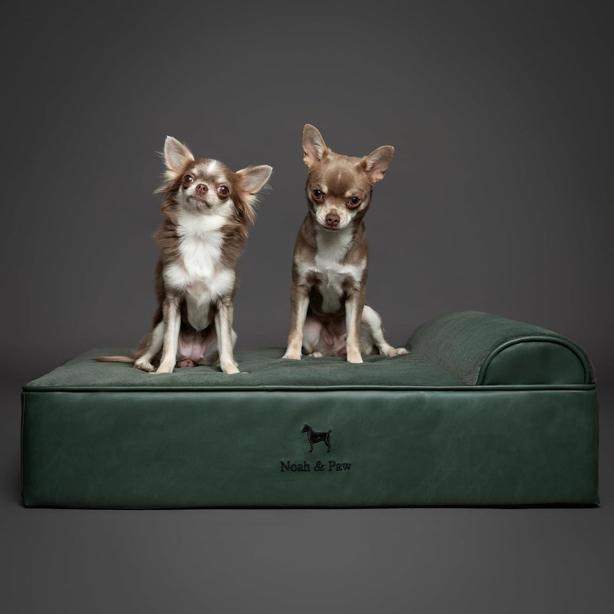 NOAH & PAW Medium Dog Bed Orthopedic Memory Foam Cooling Gel 28x23x7.5 in