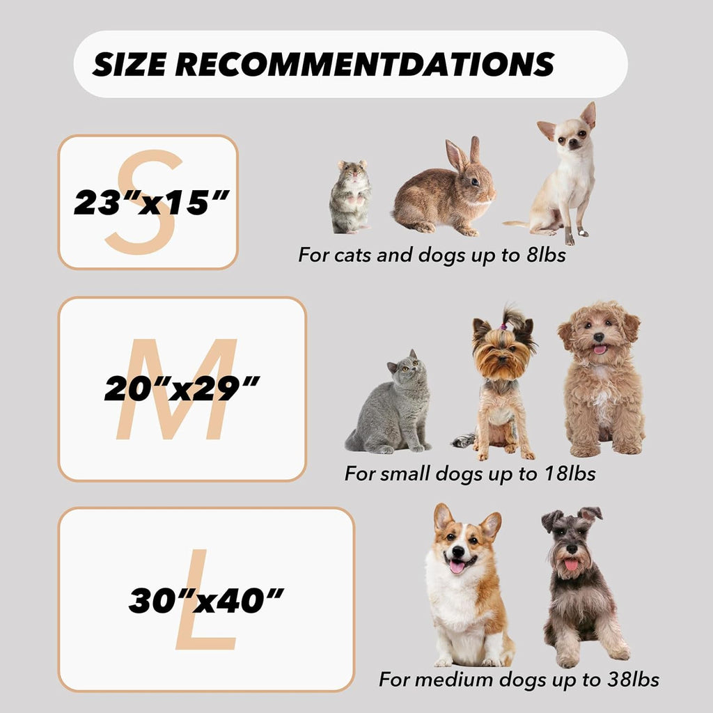 1 Pack 3 Puppy Blanket, Fleece Pet Small Dog Blanket for Puppy Cat, 29"x20"