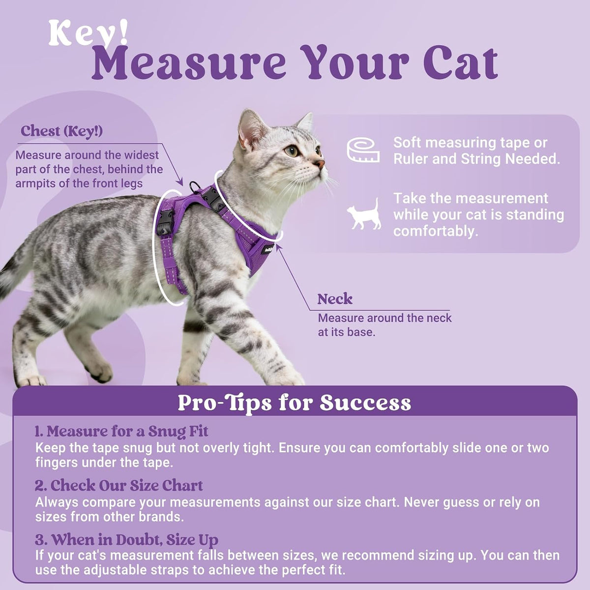 rabbitgoo Cat Harness and Leash, Easy-on with Neck Buckle, Purple