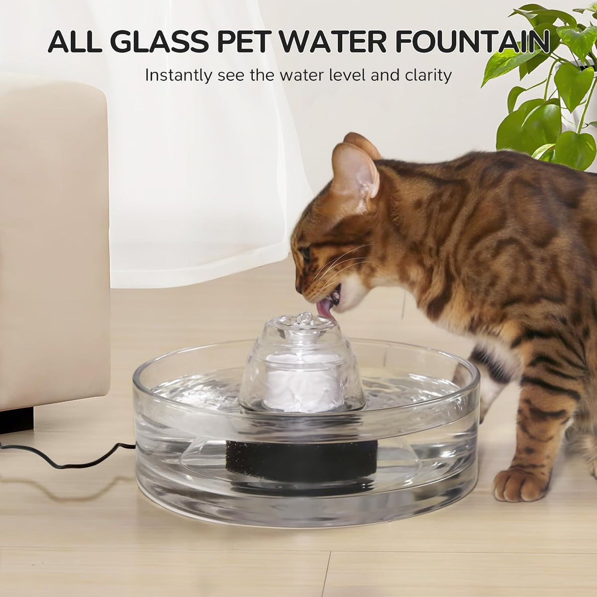 Transparent Glass Cat Water Fountain Cover